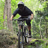 willelson avatar