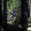 vinsblackcomb avatar