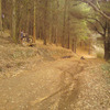 Pinkbike profile picture for @Scrapped