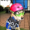 ja1234 avatar
