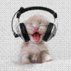 dedi0201 avatar