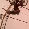 eliwholikesbikes avatar
