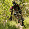 tom-cuthbert avatar