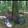 Pinkbike profile picture for @Zenith