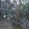 plymouthmtb avatar