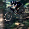 curbwzrd avatar