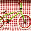 samson-haro avatar