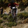 joelNZdh avatar