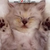 DRockMac avatar