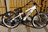 TheBear1588 avatar