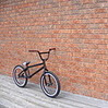 Coseni avatar