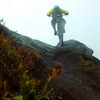 curare avatar