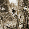 Pinkbike profile picture for @ibrahim