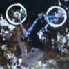 Triivik avatar
