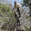eljeter14 avatar