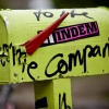 INDEM-COMPANY avatar