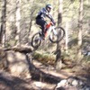 alexmackinnon avatar