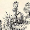 aminals avatar