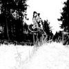 jamest94 avatar