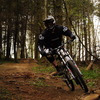 HagbardCeline avatar