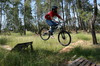 sotnas93 avatar