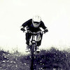 frrider995 avatar