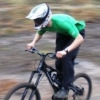 Bullfreerider avatar