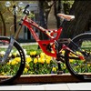 Pinkbike profile picture for @MMmm