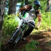 Stiwi avatar