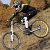 foxdigger avatar