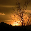 LaPalmaWorld avatar