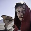 Palombini avatar