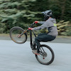 wolftown avatar