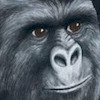 Tomothy-DH avatar