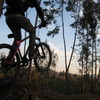 Pinkbike profile picture for @Soul