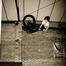 cullenbmx avatar