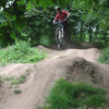 livetoride-cal avatar