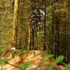 bmxdirt93 avatar