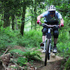 trialsmanty avatar