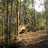 viCSiados14 avatar