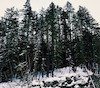 andrewlarsen avatar