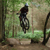 StephenAkers avatar