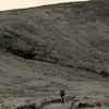 rossbellphoto avatar