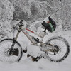 Pinkbike profile picture for @supply