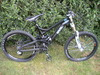 Benkona2323 avatar