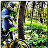 Pinkbike profile picture for @technical