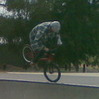 bradzwiersen avatar