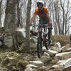 Pinkbike profile picture for @carol