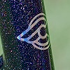 Pinkbike profile picture for @risa