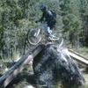 majorguido avatar